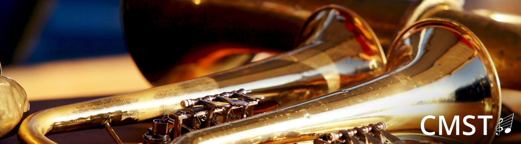 Cornwall Music Service Trust